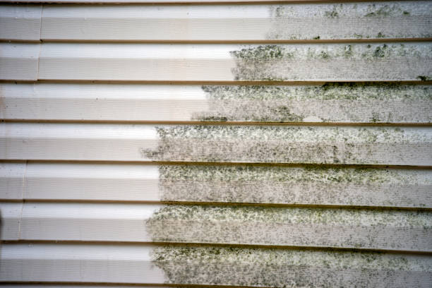 Best Custom Siding Design  in Norwood, OH