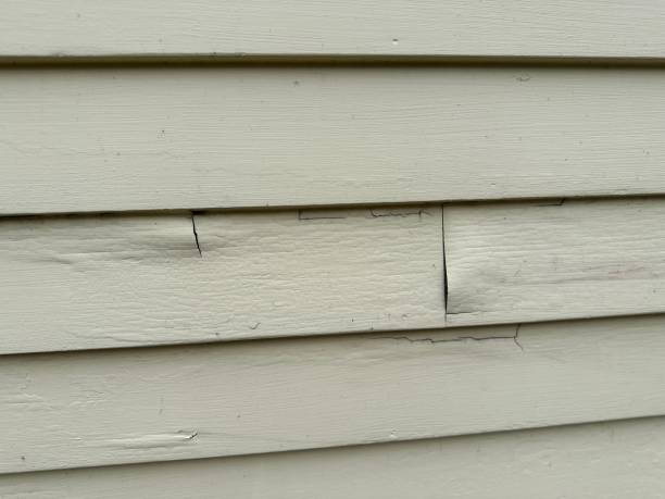 Best Custom Trim and Detailing for Siding  in Norwood, OH