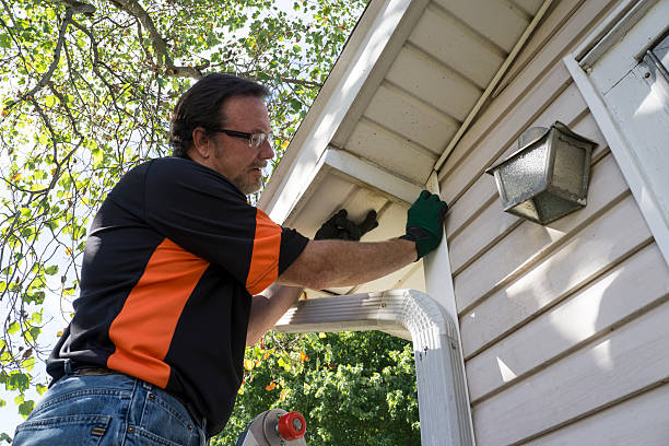 Best Siding Painting and Refinishing  in Norwood, OH